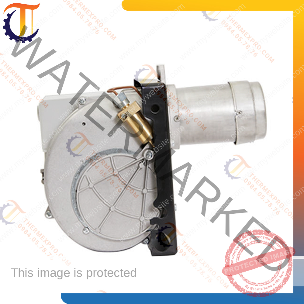 đầu đốt gas riello fs10 3