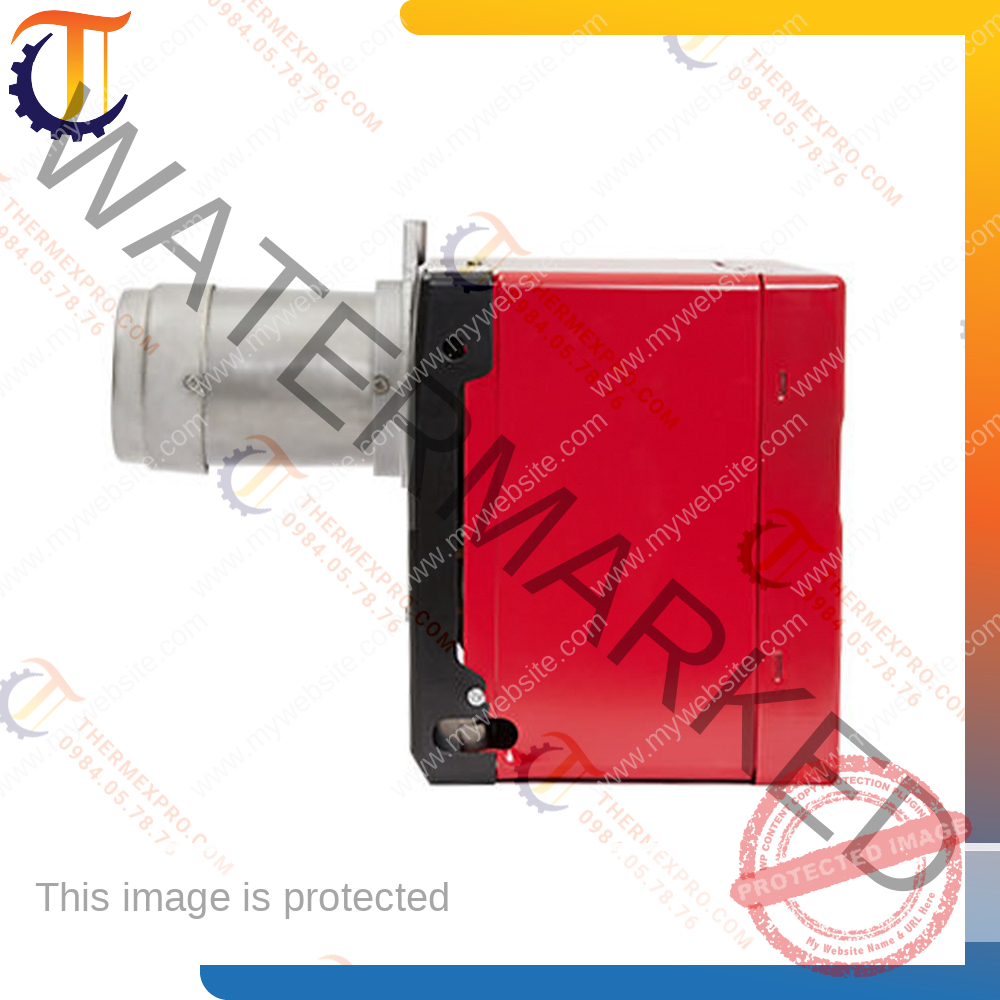 đầu đốt gas riello fs5 3