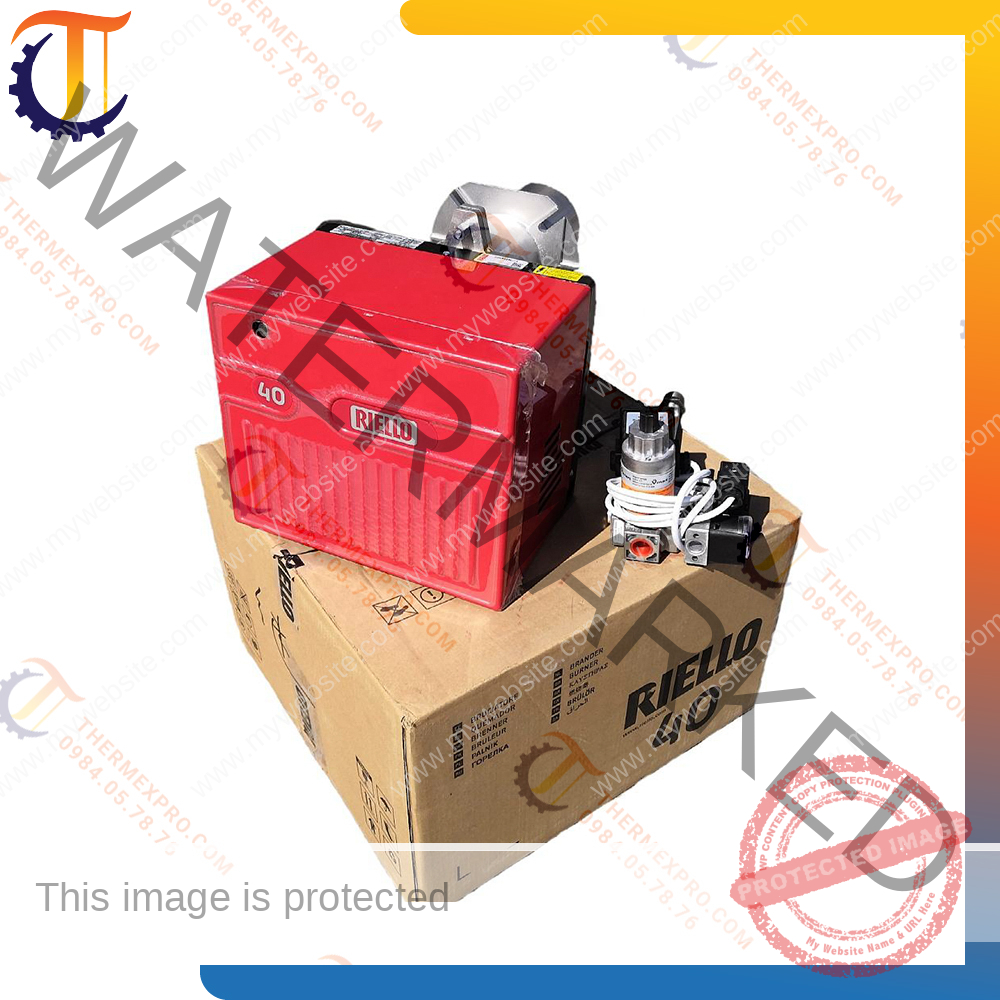 đầu đốt gas riello fs5